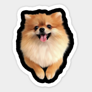 Pomeranian Dog Smiling, Love Pomeranians Magnet