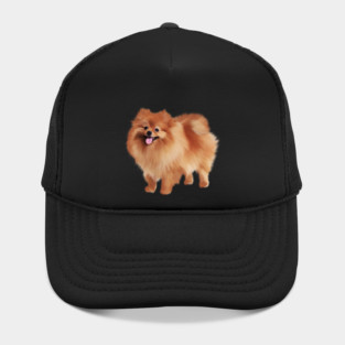Pomeranian Dog, Love Pomeranians, Dog Lover Hat