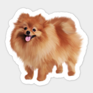 Pomeranian Dog, Love Pomeranians, Dog Lover Sticker
