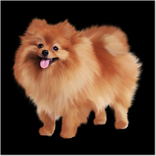 Pomeranian Dog, Love Pomeranians, Dog Lover Posters and Art