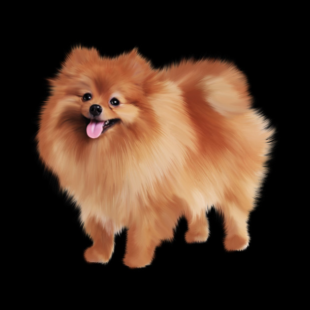 Pomeranian Dog, Love Pomeranians, Dog Lover by logiamerch
