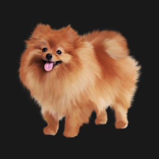 Pomeranian Dog, Love Pomeranians, Dog Lover T-Shirt