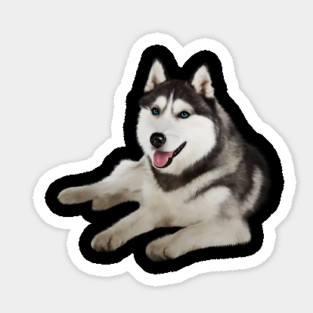Husky with Blue Eyes, love Huskies, Dog Lover Magnet
