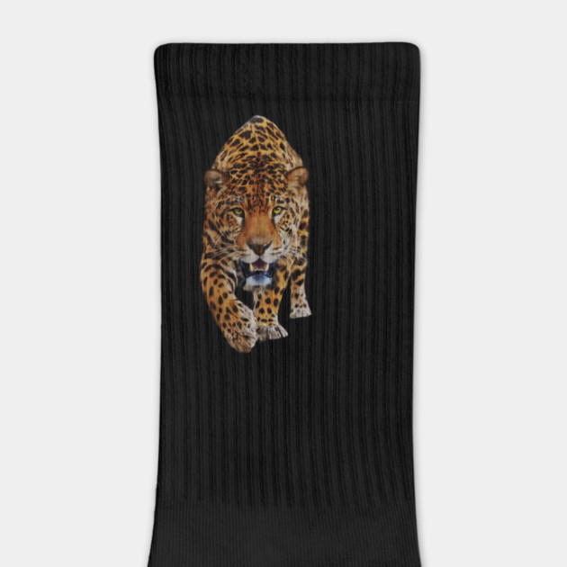 Jaguar Stalking, Love Big Cats, Tropical Animal by logiamerch