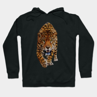 Jaguar Stalking, Love Big Cats, Tropical Animal Hoodie