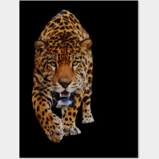 Jaguar Stalking, Love Big Cats, Tropical Animal Posters and Art