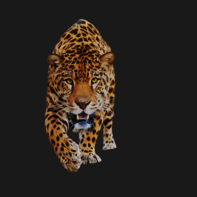 Jaguar Stalking, Love Big Cats, Tropical Animal by logiamerch