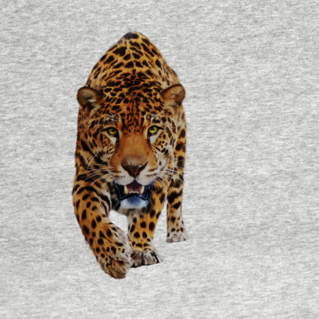 Jaguar Stalking, Love Big Cats, Tropical Animal by logiamerch