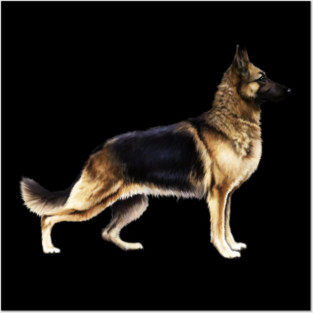 German Shepherd, Love German Shepherds Posters and Art