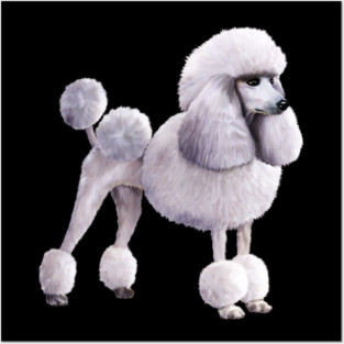 Poodle dog, Love Poodles, Dog Lover Posters and Art