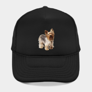 Yorkshire Terrier Dog, Love Yorkies, Dog Lover Hat