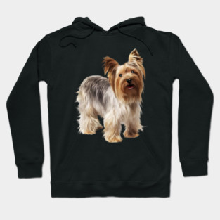 Yorkshire Terrier Dog, Love Yorkies, Dog Lover Hoodie