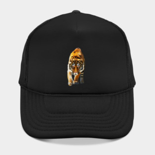 Tiger stalking, Love Tigers, Big Cat Hat