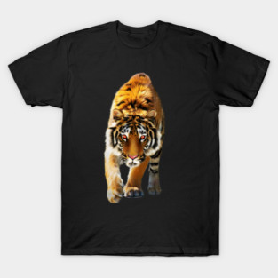 Tiger stalking, Love Tigers, Big Cat T-Shirt