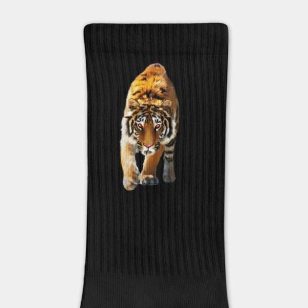 Tiger stalking, Love Tigers, Big Cat by logiamerch