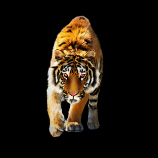Tiger stalking, Love Tigers, Big Cat by logiamerch