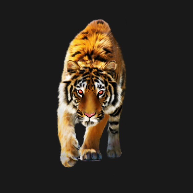 Tiger stalking, Love Tigers, Big Cat by logiamerch