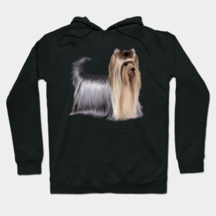 Yorkshire Terrier Dog, Love Yorkshire Terriers, Dog Lover Hoodie