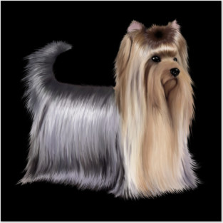Yorkshire Terrier Dog, Love Yorkshire Terriers, Dog Lover Posters and Art