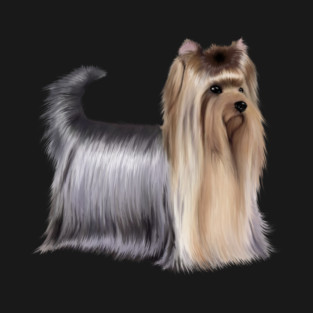 Yorkshire Terrier Dog, Love Yorkshire Terriers, Dog Lover T-Shirt