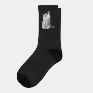 Ragdoll Cat Fetching, Ragdoll Cats, Cat Lover Socks