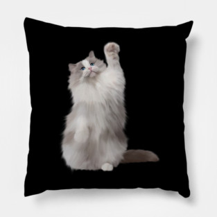 Ragdoll Cat Fetching, Ragdoll Cats, Cat Lover Pillow