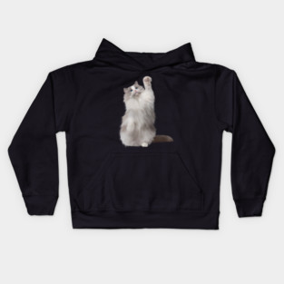 Ragdoll Cat Fetching, Ragdoll Cats, Cat Lover Kids Hoodie