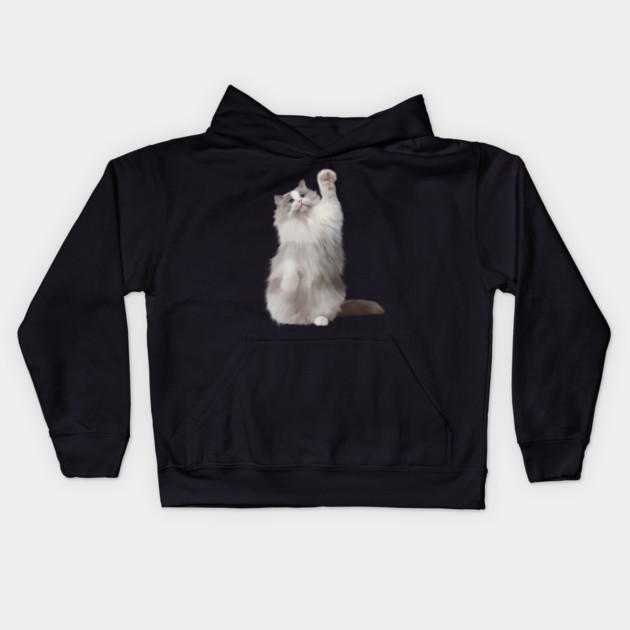 Ragdoll Cat Fetching, Ragdoll Cats, Cat Lover Kids Hoodie by logiamerch
