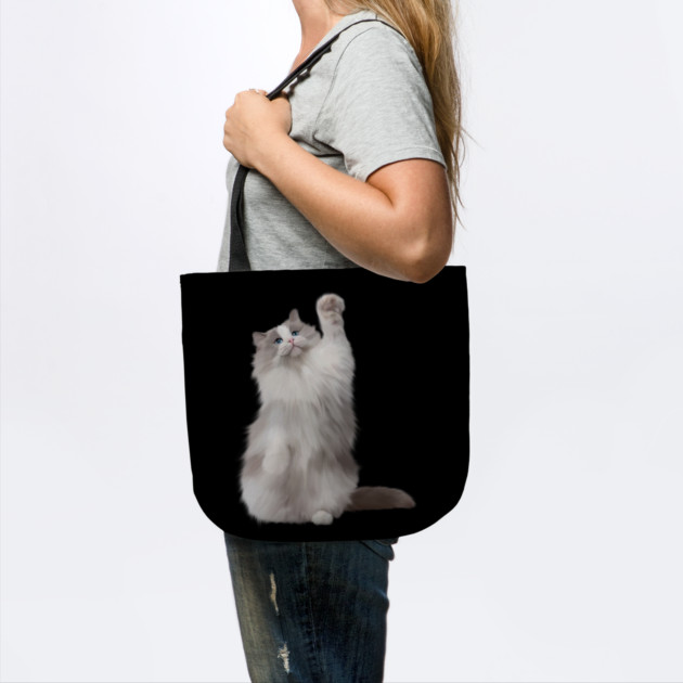 Ragdoll Cat Fetching, Ragdoll Cats, Cat Lover by logiamerch