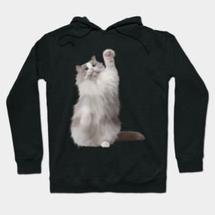 Ragdoll Cat Fetching, Ragdoll Cats, Cat Lover Hoodie