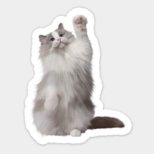 Ragdoll Cat Fetching, Ragdoll Cats, Cat Lover Sticker