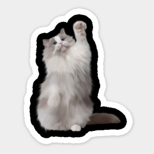 Ragdoll Cat Fetching, Ragdoll Cats, Cat Lover Magnet