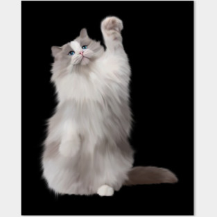 Ragdoll Cat Fetching, Ragdoll Cats, Cat Lover Posters and Art