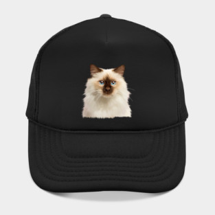 Ragdoll cat Face, Love Ragdoll cats, Cat Lover Hat