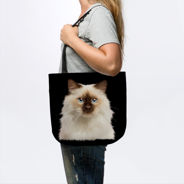 Ragdoll cat Face, Love Ragdoll cats, Cat Lover by logiamerch