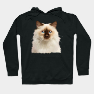 Ragdoll cat Face, Love Ragdoll cats, Cat Lover Hoodie