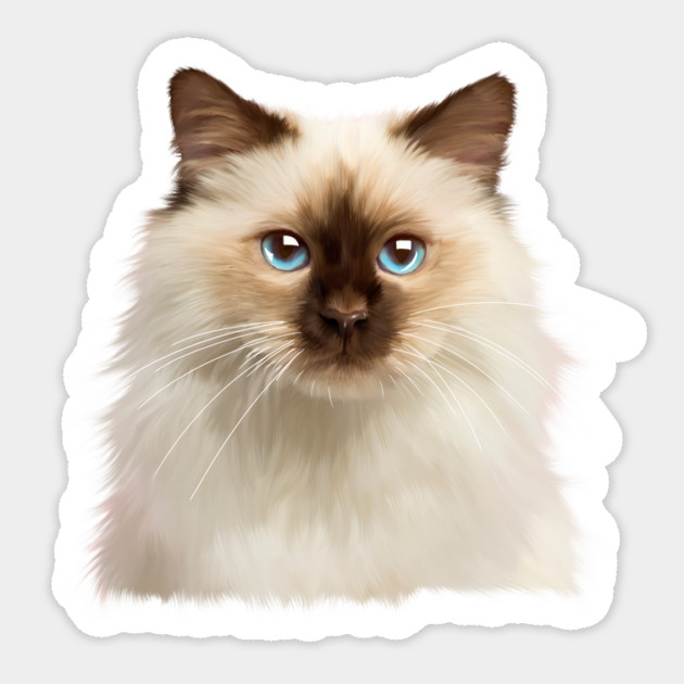 Ragdoll cat Face, Love Ragdoll cats, Cat Lover Sticker by logiamerch