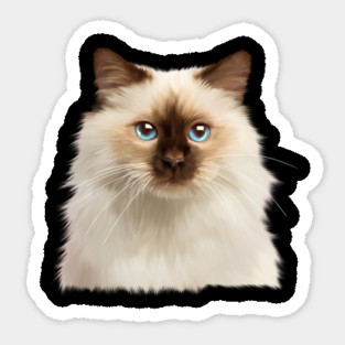 Ragdoll cat Face, Love Ragdoll cats, Cat Lover Magnet