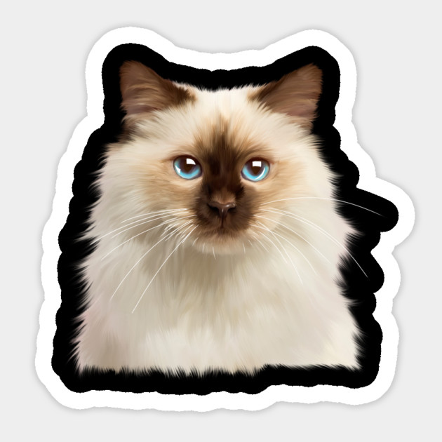 Ragdoll cat Face, Love Ragdoll cats, Cat Lover Magnet by logiamerch