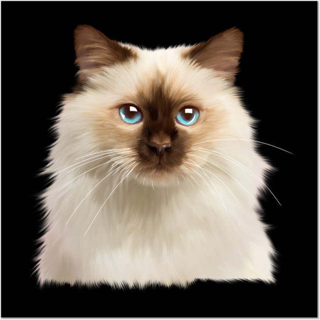 Ragdoll cat Face, Love Ragdoll cats, Cat Lover Wall Art by logiamerch