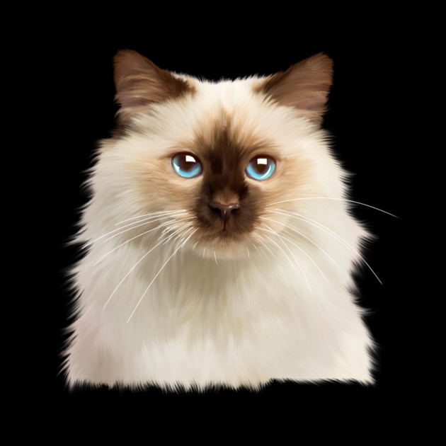 Ragdoll cat Face, Love Ragdoll cats, Cat Lover by logiamerch