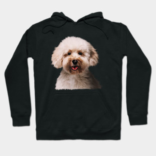 Poodle dog Head, Love Poodles, Dog Lover Hoodie
