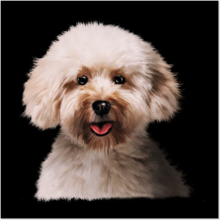 Poodle dog Head, Love Poodles, Dog Lover Posters and Art