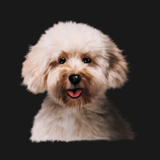 Poodle dog Head, Love Poodles, Dog Lover T-Shirt