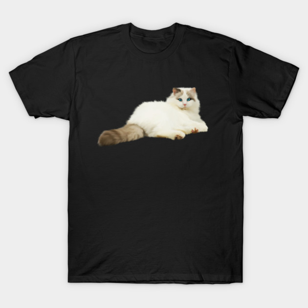 Ragdoll Cat, Love Ragdoll Cats, Cat Lover T-Shirt by logiamerch