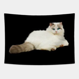 Ragdoll Cat, Love Ragdoll Cats, Cat Lover Tapestry