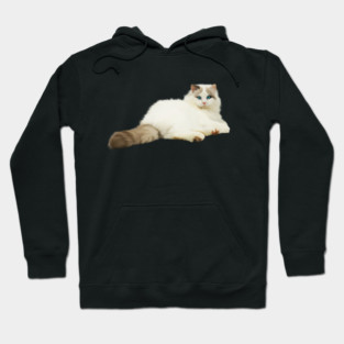 Ragdoll Cat, Love Ragdoll Cats, Cat Lover Hoodie