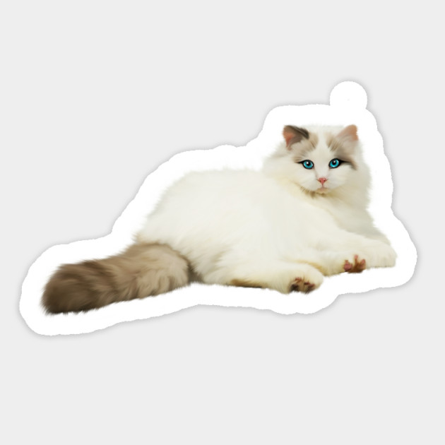 Ragdoll Cat, Love Ragdoll Cats, Cat Lover Sticker by logiamerch