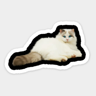 Ragdoll Cat, Love Ragdoll Cats, Cat Lover Magnet