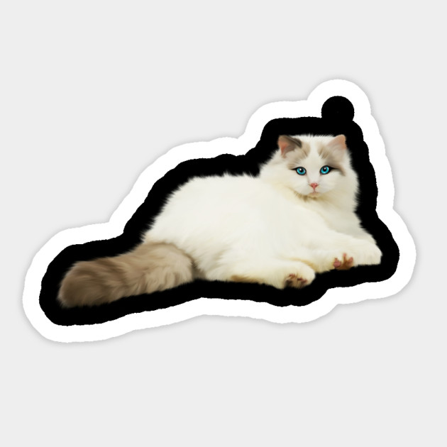 Ragdoll Cat, Love Ragdoll Cats, Cat Lover Magnet by logiamerch